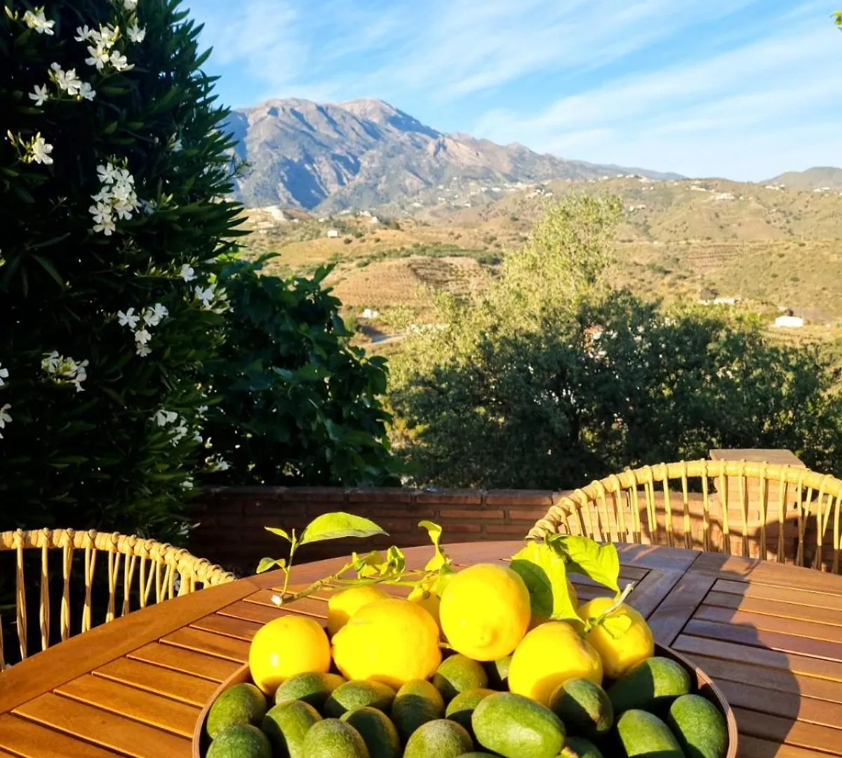 La Vista Vinuela Bed & Breakfast